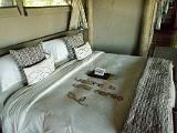 Africa 218 : Africa, Botswana, Hotels and Lodges, Little Mombo, Mombo, Okavango, Travel